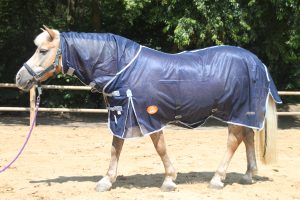Paardendeken zomer