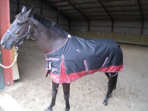 Turnout rugdeken 100 gram