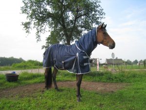 Paardendeken regen