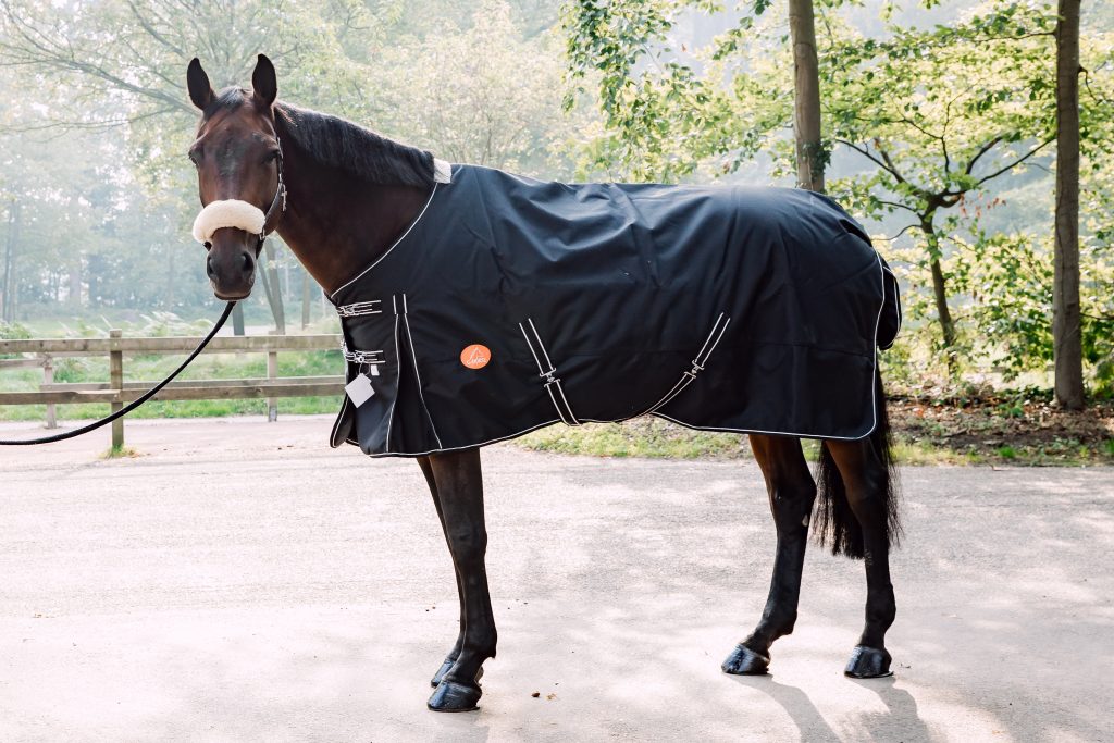 Deken voor het paard