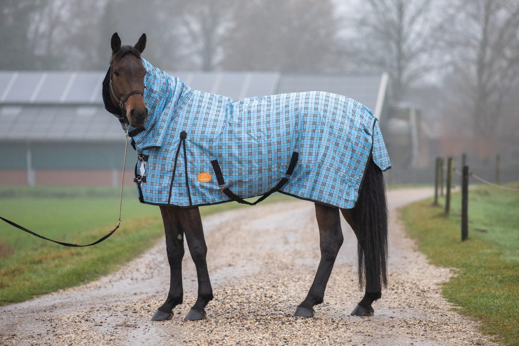 Blueberry winterdeken met hals 300 gram