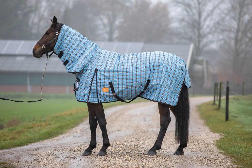 Winterdeken paard