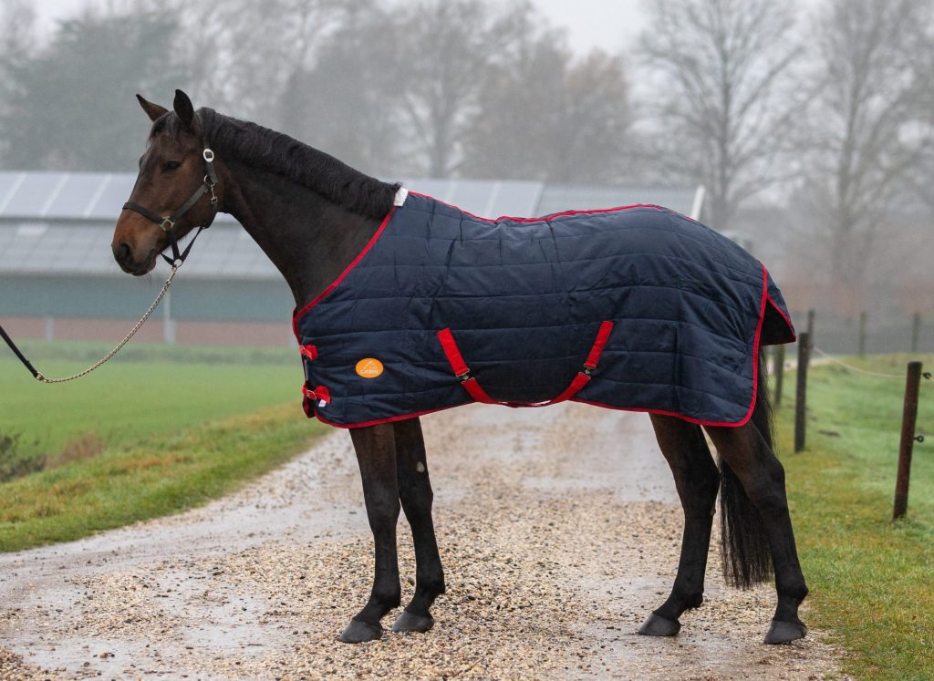Winterdeken paard